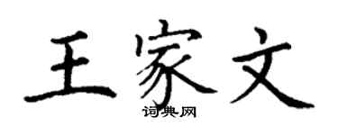 丁谦王家文楷书个性签名怎么写