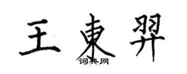 何伯昌王东羿楷书个性签名怎么写