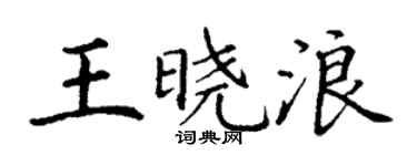 丁谦王晓浪楷书个性签名怎么写
