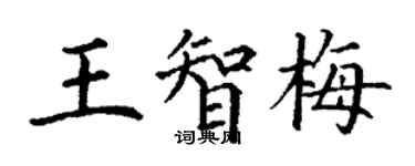 丁谦王智梅楷书个性签名怎么写