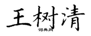 丁谦王树清楷书个性签名怎么写