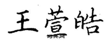 丁谦王萱皓楷书个性签名怎么写