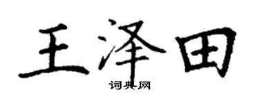 丁谦王泽田楷书个性签名怎么写