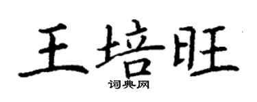 丁谦王培旺楷书个性签名怎么写
