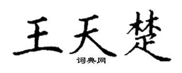 丁谦王天楚楷书个性签名怎么写