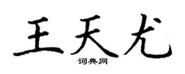丁谦王天尤楷书个性签名怎么写