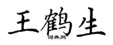 丁谦王鹤生楷书个性签名怎么写