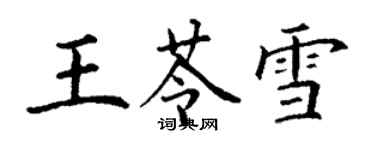 丁谦王苓雪楷书个性签名怎么写