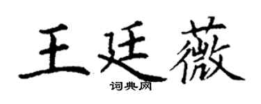 丁谦王廷薇楷书个性签名怎么写