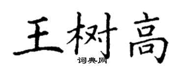 丁谦王树高楷书个性签名怎么写