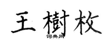何伯昌王树枚楷书个性签名怎么写