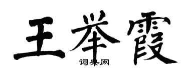 翁闿运王举霞楷书个性签名怎么写