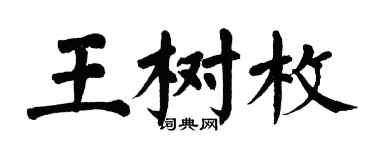 翁闿运王树枚楷书个性签名怎么写