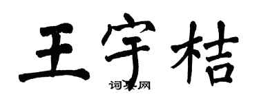 翁闿运王宇桔楷书个性签名怎么写