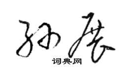 骆恒光孙展草书个性签名怎么写