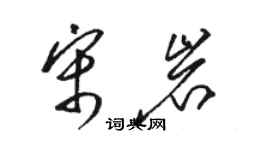 骆恒光宋岩草书个性签名怎么写