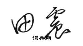 骆恒光田震草书个性签名怎么写