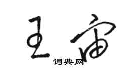 骆恒光王宙草书个性签名怎么写