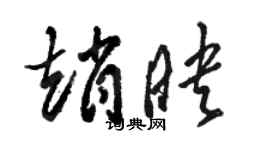 骆恒光赵映草书个性签名怎么写