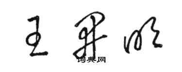 骆恒光王开明草书个性签名怎么写