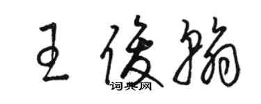 骆恒光王俊翰草书个性签名怎么写