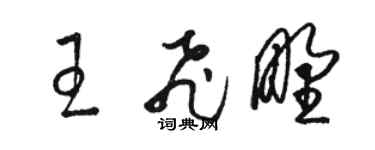 骆恒光王飞野草书个性签名怎么写