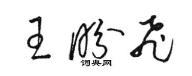 骆恒光王盼飞草书个性签名怎么写