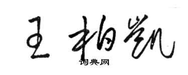 骆恒光王柏凯草书个性签名怎么写