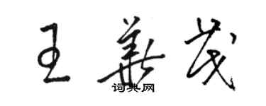 骆恒光王华茂草书个性签名怎么写