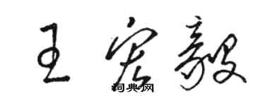 骆恒光王宏毅草书个性签名怎么写