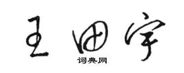骆恒光王田宇草书个性签名怎么写