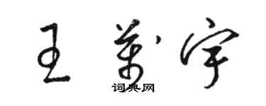 骆恒光王万宇草书个性签名怎么写