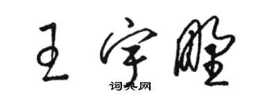 骆恒光王宇野草书个性签名怎么写