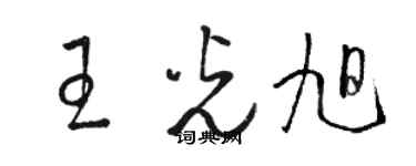 骆恒光王光旭草书个性签名怎么写
