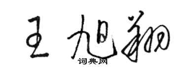 骆恒光王旭翔草书个性签名怎么写