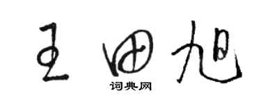 骆恒光王田旭草书个性签名怎么写