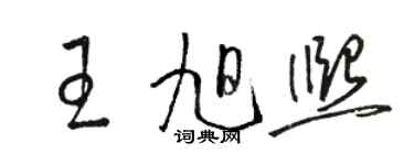骆恒光王旭熙草书个性签名怎么写