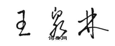 骆恒光王泉林草书个性签名怎么写
