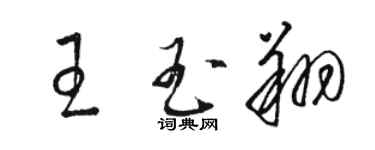 骆恒光王玉翔草书个性签名怎么写