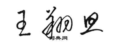 骆恒光王翔旦草书个性签名怎么写