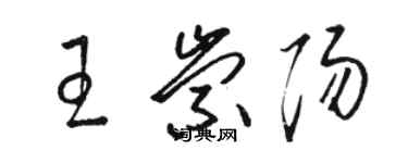 骆恒光王崇阳草书个性签名怎么写