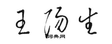 骆恒光王阳生草书个性签名怎么写