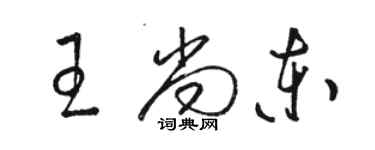 骆恒光王尚东草书个性签名怎么写