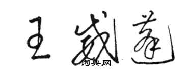 骆恒光王威蓬草书个性签名怎么写