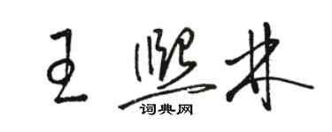 骆恒光王熙林草书个性签名怎么写