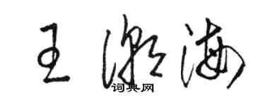 骆恒光王潮海草书个性签名怎么写