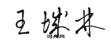 骆恒光王城林草书个性签名怎么写