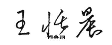 骆恒光王恬晨草书个性签名怎么写