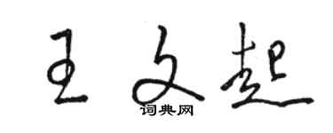 骆恒光王文起草书个性签名怎么写