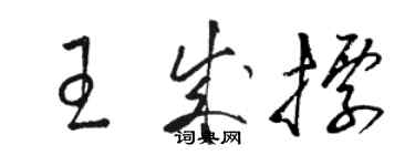 骆恒光王成标草书个性签名怎么写